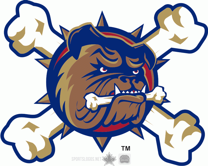 Hamilton Bulldogs 2005 06 Anniversary Logo iron on heat transfer